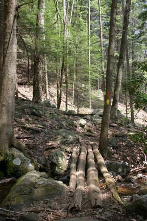 Bear Hair Gap Trail © Landers Photographic Arts