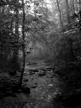 Upper Chattahoochee River (Click To Oder Print) © Landers Photographic Arts / Jeremy R. Landers