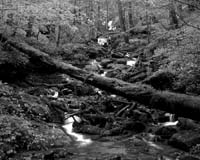 Double Culvert Branch Black & White (Click To Order Print) © Landers Photographic Arts / Jeremy R. Landers